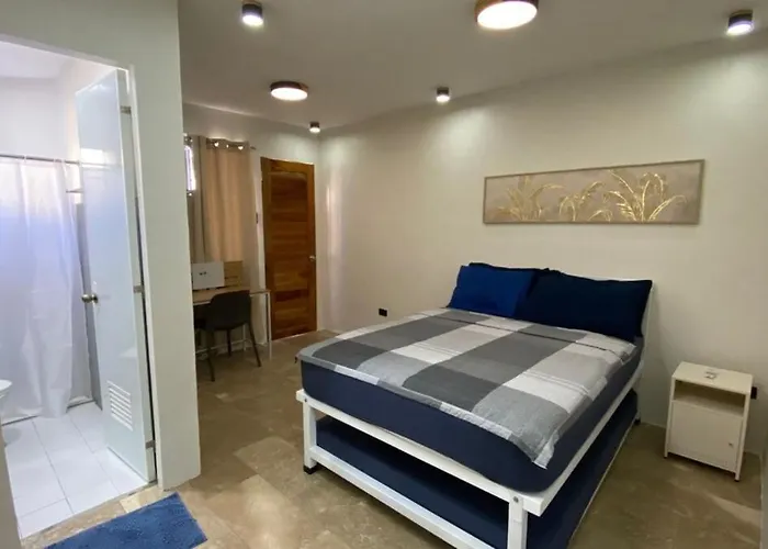 3 Bedroom Park Vista It Park Apartment Cebu